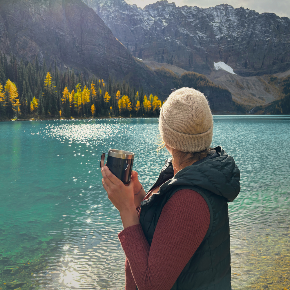 Larch Season in Alberta: The Ultimate Fall Hiking Experience